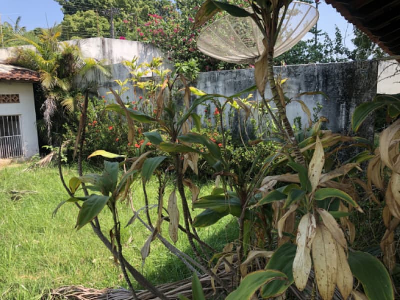 Foto 52 de 82: Terreno em leilão em Ji-paraná - RO — LOTE 001 IMÓVEL URBANO EM JI-PARANÁ