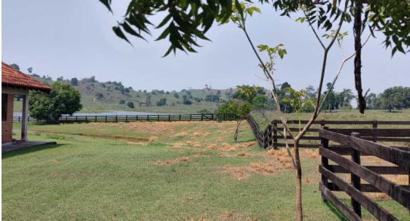 Foto 79 de 82: Terreno em leilão em Ji-paraná - RO — LOTE 001 IMÓVEL URBANO EM JI-PARANÁ