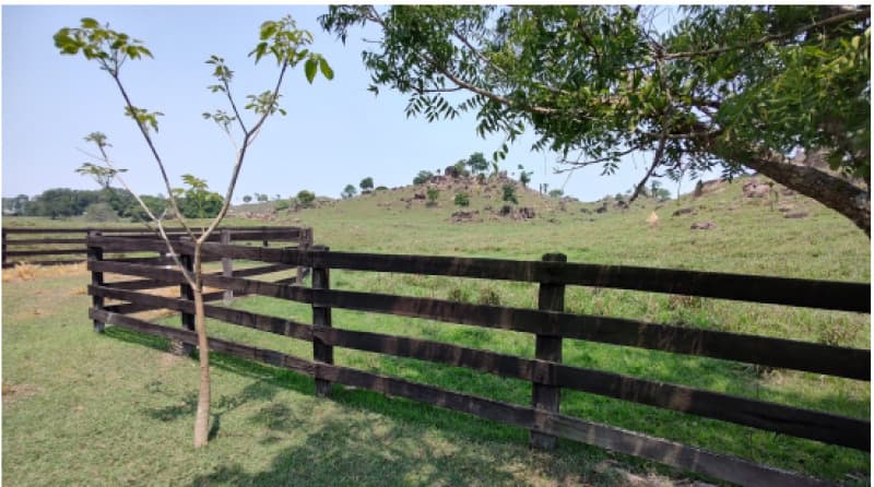 Foto 80 de 82: Terreno em leilão em Ji-paraná - RO — LOTE 001 IMÓVEL URBANO EM JI-PARANÁ