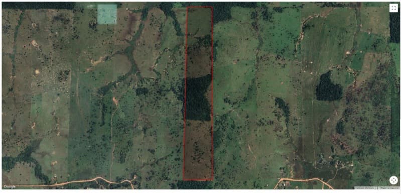 Area Rural em leilão em Ji-paraná - RO — LOTE 001 50% DA PARTE IDEAL DE IMÓVEL RURAL EM JI-PARANÁ