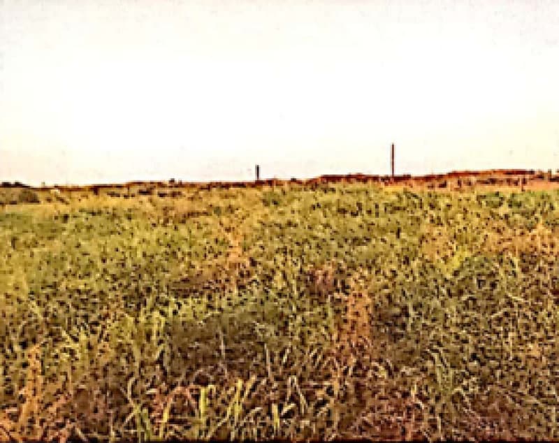 Foto 3 de 5: Imóvel em leilão em Buritis - RO — LOTE 001 IMÓVEL EM BURITIS/RO