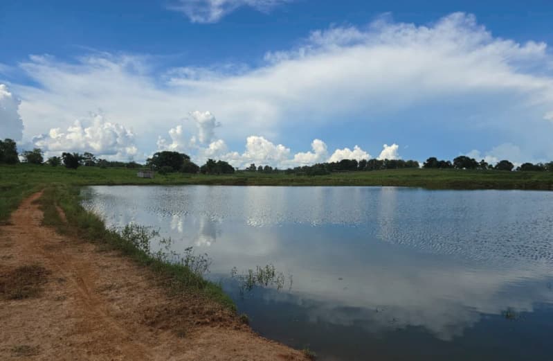 Foto 1 de 5: Area Rural em leilão em Urupá - RO — LOTE 001 IMÓVEL RURAL EM URUPÁ/RO