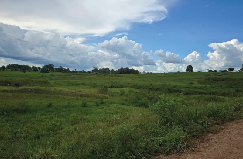 Foto 2 de 5: Area Rural em leilão em Urupá - RO — LOTE 001 IMÓVEL RURAL EM URUPÁ/RO