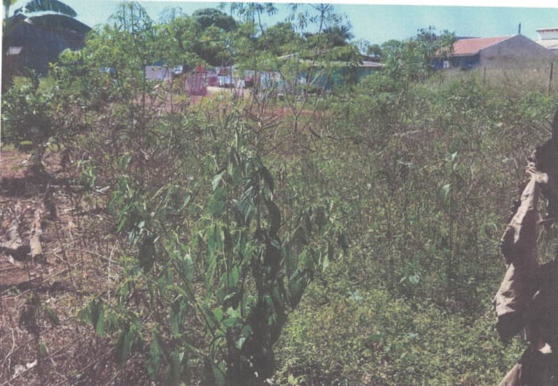 Foto 3 de 7: Terreno em leilão em Alvorada D'oeste - RO — LOTE 001 LOTE URBANO EM ALVORADA DO OESTE/RO