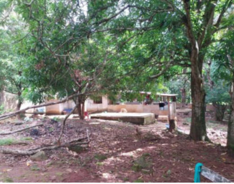 Foto 3 de 19: Area Rural em leilão em Ariquemes - RO, bairro Área de Chácaras — LOTE 001 IMÓVEL RURAL EM ARIQUEMES/RO - ÁREA DE CHÁCARAS