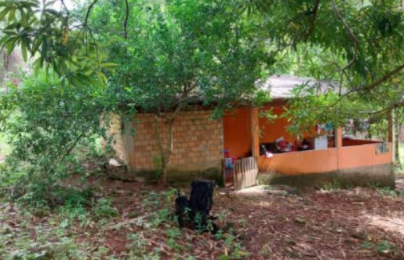 Foto 7 de 19: Area Rural em leilão em Ariquemes - RO, bairro Área de Chácaras — LOTE 001 IMÓVEL RURAL EM ARIQUEMES/RO - ÁREA DE CHÁCARAS
