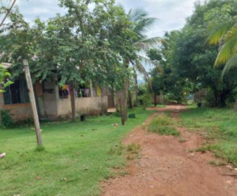 Foto 11 de 19: Area Rural em leilão em Ariquemes - RO, bairro Área de Chácaras — LOTE 001 IMÓVEL RURAL EM ARIQUEMES/RO - ÁREA DE CHÁCARAS