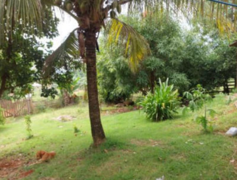 Foto 14 de 19: Area Rural em leilão em Ariquemes - RO, bairro Área de Chácaras — LOTE 001 IMÓVEL RURAL EM ARIQUEMES/RO - ÁREA DE CHÁCARAS