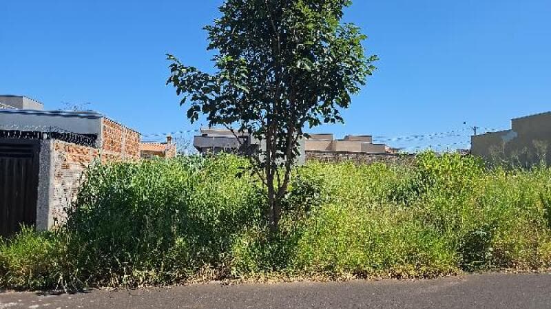 Terreno em leilão em Bady Bassitt - SP — LOTE 408 Terreno