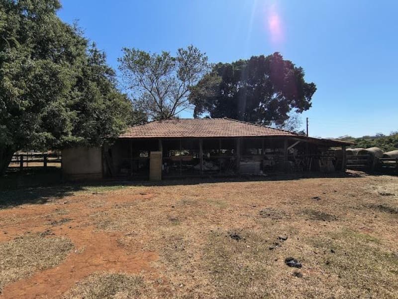 Foto 5 de 11: Terreno em leilão em Paranaiguara - GO — LOTE 001 Terreno rural com ou sem benfeitorias