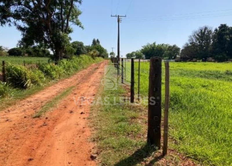 Foto 4 de 17: Area Rural em leilão em Parapuã - SP, bairro Monte Alegre — LOTE 001 Área rural em Parapuã/SP