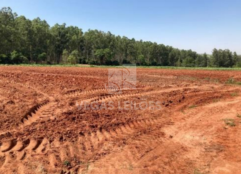 Foto 15 de 17: Area Rural em leilão em Parapuã - SP, bairro Monte Alegre — LOTE 001 Área rural em Parapuã/SP