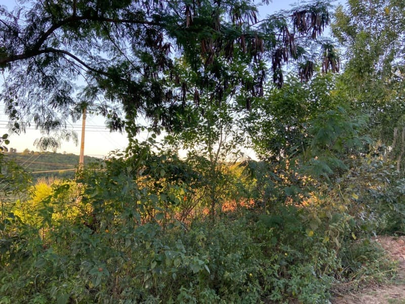 Foto 16 de 28: Terreno em leilão em Teixeira De Freitas - BA — LOTE 001 terreno com 15 hectares (150 mil m²)/ Teixeira de Freitas/ BA