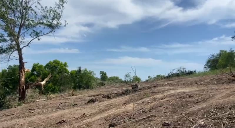 Foto 25 de 28: Terreno em leilão em Teixeira De Freitas - BA — LOTE 001 terreno com 15 hectares (150 mil m²)/ Teixeira de Freitas/ BA