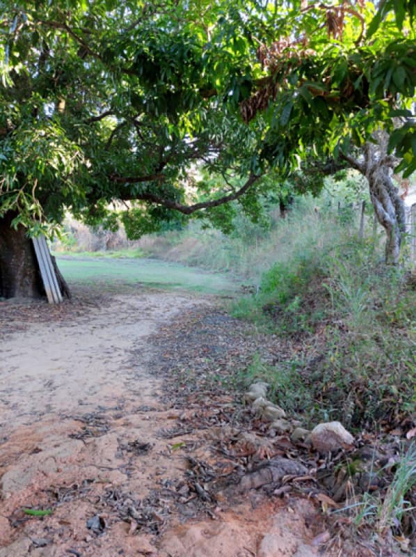 Foto 7 de 15: Casa em leilão em Sabará - MG — LOTE 001 Casa com dois pavimentos sobre um terreno com área de 7.500 m² - Boaventura, Sabará/MG