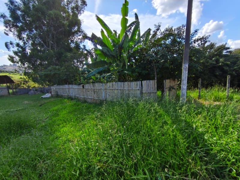 Foto 5 de 26: Area Rural em leilão em Três Corações - MG, bairro Espraiadinho — LOTE 001 Gleba de terras com 4,84 hectares - terreno de 48.400 m² e 150 m² de área construída - na z
