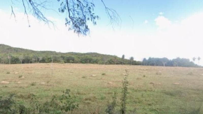 Area Rural em leilão em Cachoeira Da Prata - MG — LOTE 007 Imóvel Rural, 207ha, Cachoeira da Prata/MG