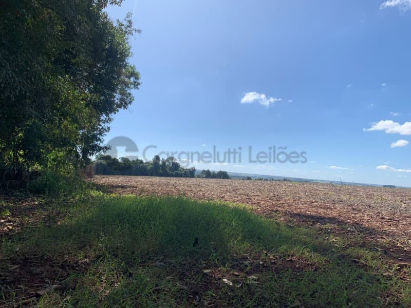 Imóvel em leilão em Coronel Barros - RS — LOTE 066 2ha de terras de cultura em CORONEL BARROS/RS