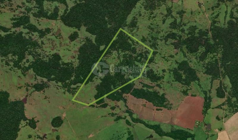 Foto 6 de 8: Imóvel em leilão em São Nicolau - RS — LOTE 001 28has em Itati, São Nicolau/RS,