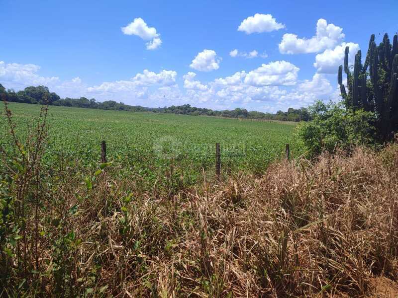 Foto 9 de 18: Imóvel em leilão em São Miguel Das Missões - RS — LOTE 003-1 1,4250has em Santa Bárbara, São Miguel das Missões/RS