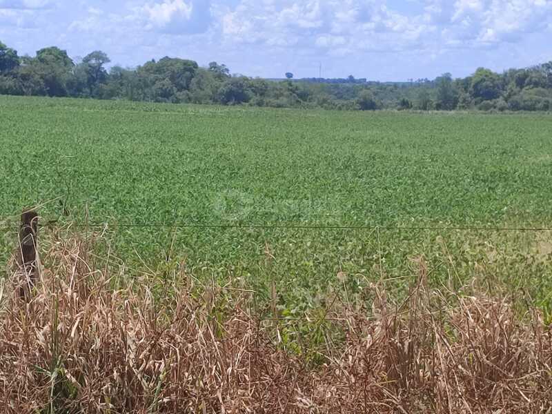 Foto 5 de 18: Imóvel em leilão em São Miguel Das Missões - RS — LOTE 003-2 1,40has em Santa Bárbara, São Miguel das Missões/RS