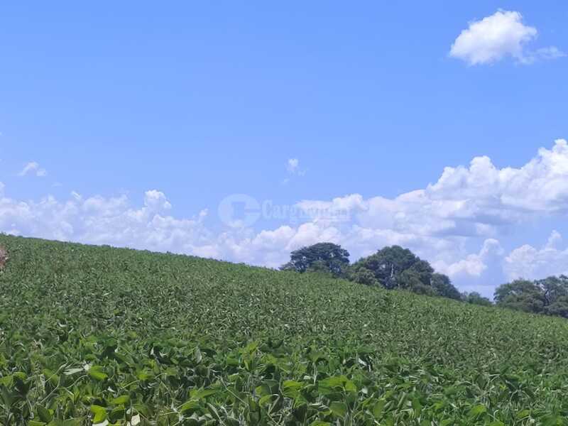 Foto 6 de 18: Imóvel em leilão em São Miguel Das Missões - RS — LOTE 003-2 1,40has em Santa Bárbara, São Miguel das Missões/RS