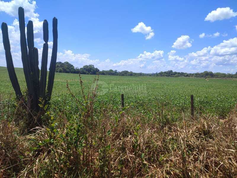 Foto 8 de 18: Imóvel em leilão em São Miguel Das Missões - RS — LOTE 003-2 1,40has em Santa Bárbara, São Miguel das Missões/RS