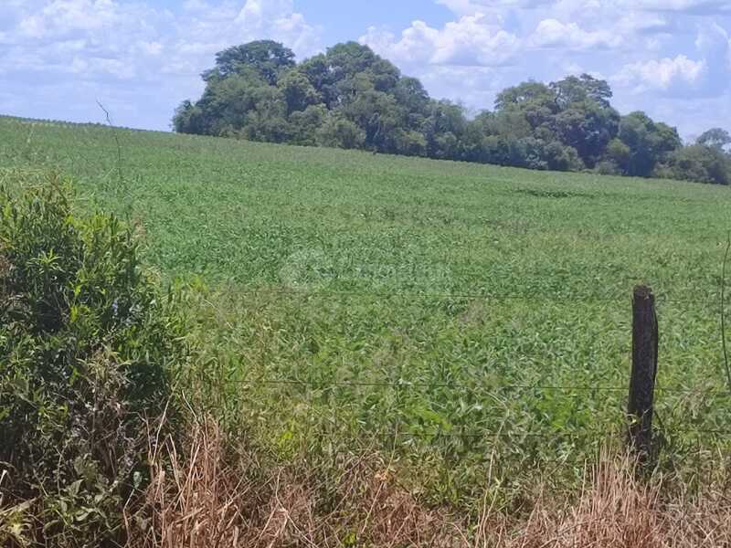 Foto 11 de 18: Imóvel em leilão em São Miguel Das Missões - RS — LOTE 003-2 1,40has em Santa Bárbara, São Miguel das Missões/RS