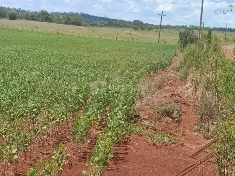 Foto 12 de 18: Imóvel em leilão em São Miguel Das Missões - RS — LOTE 003-2 1,40has em Santa Bárbara, São Miguel das Missões/RS