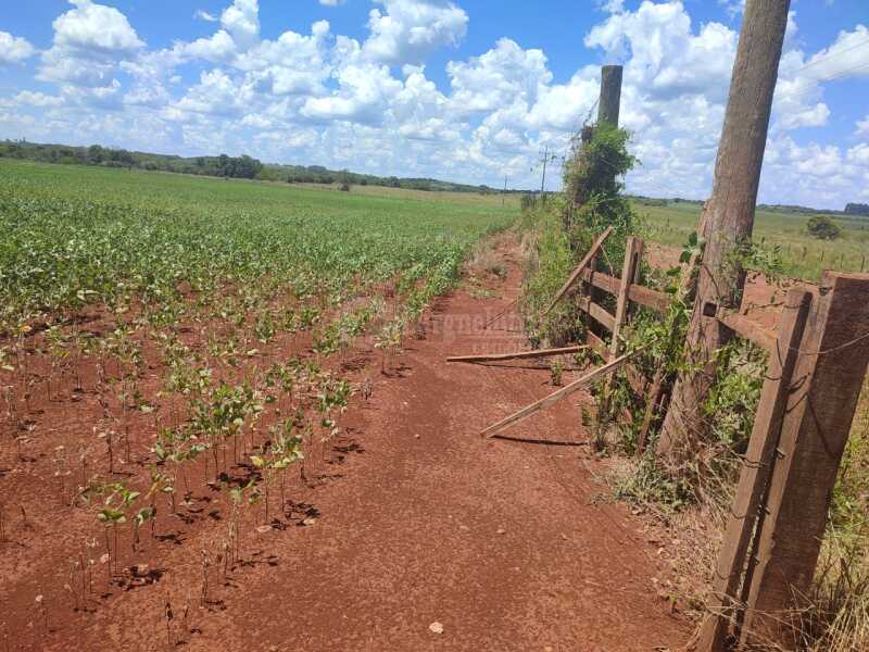 Foto 14 de 18: Imóvel em leilão em São Miguel Das Missões - RS — LOTE 003-2 1,40has em Santa Bárbara, São Miguel das Missões/RS