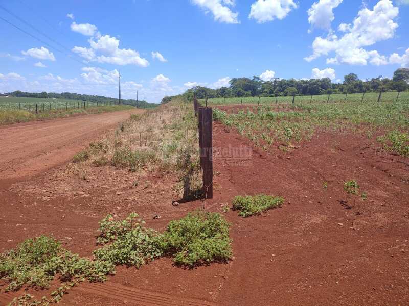 Foto 15 de 18: Imóvel em leilão em São Miguel Das Missões - RS — LOTE 003-2 1,40has em Santa Bárbara, São Miguel das Missões/RS