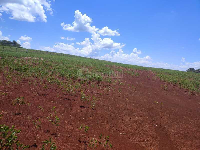 Foto 16 de 18: Imóvel em leilão em São Miguel Das Missões - RS — LOTE 003-2 1,40has em Santa Bárbara, São Miguel das Missões/RS