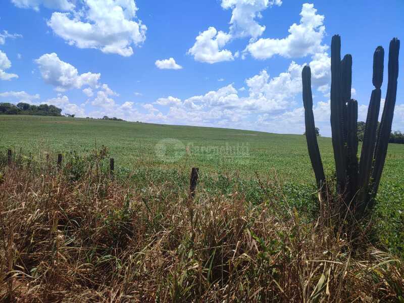 Foto 17 de 18: Imóvel em leilão em São Miguel Das Missões - RS — LOTE 003-2 1,40has em Santa Bárbara, São Miguel das Missões/RS