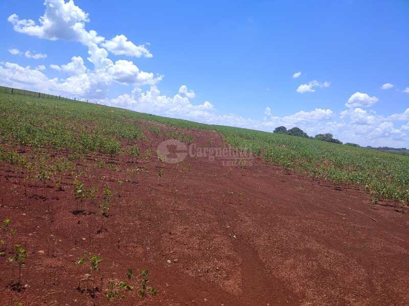 Foto 18 de 18: Imóvel em leilão em São Miguel Das Missões - RS — LOTE 003-2 1,40has em Santa Bárbara, São Miguel das Missões/RS