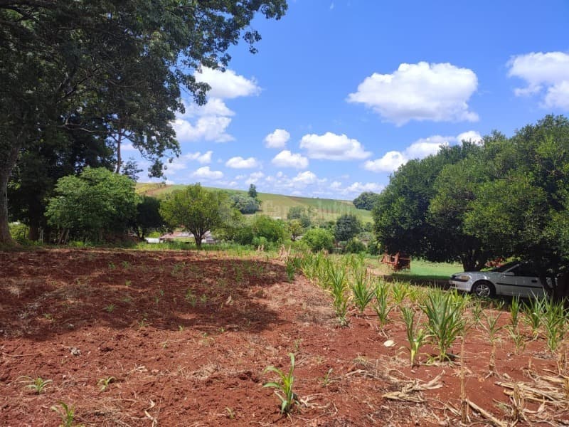 Foto 5 de 8: Area Rural em leilão em Roque Gonzales - RS — LOTE 005 1.100m², Dona Otília, Roque Gonzales/RS