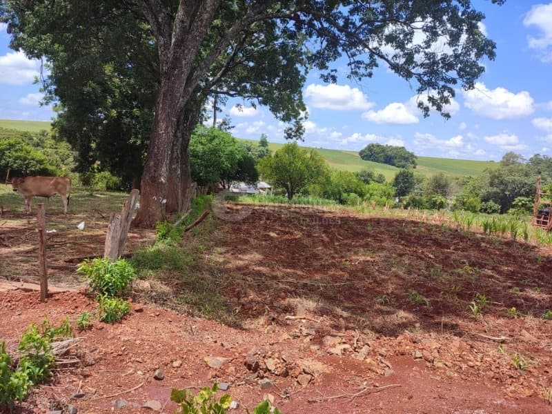 Foto 6 de 8: Area Rural em leilão em Roque Gonzales - RS — LOTE 005 1.100m², Dona Otília, Roque Gonzales/RS
