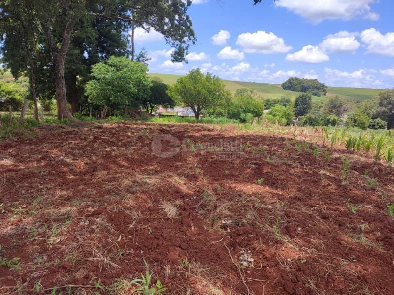 Foto 7 de 8: Area Rural em leilão em Roque Gonzales - RS — LOTE 005 1.100m², Dona Otília, Roque Gonzales/RS