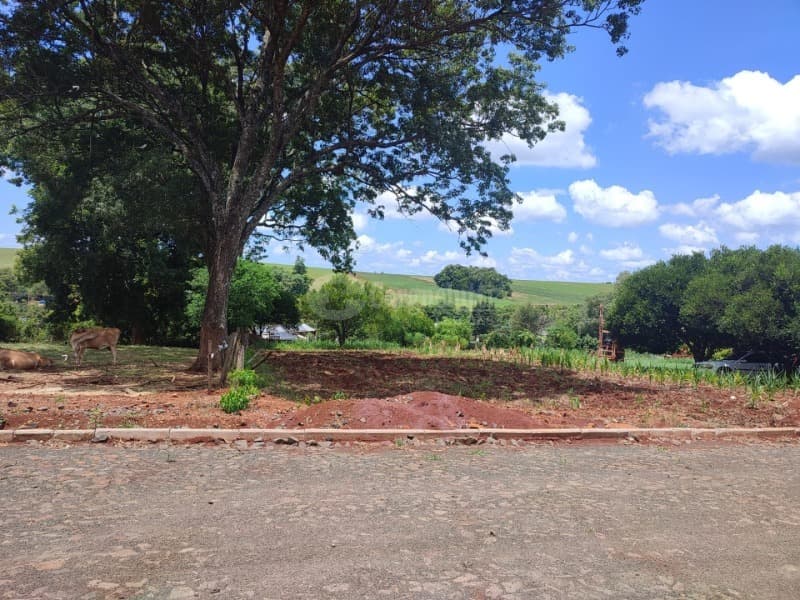 Foto 8 de 8: Area Rural em leilão em Roque Gonzales - RS — LOTE 005 1.100m², Dona Otília, Roque Gonzales/RS