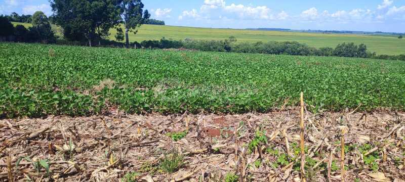 Foto 6 de 9: Area Rural em leilão em Tuparendi - RS — LOTE 001-2 fração de terras rurais, com área de 50.000m², dentro de área maior de 213.000m², da 13ª