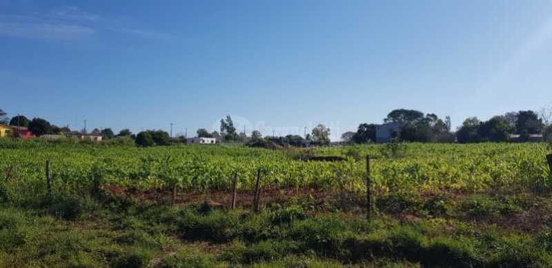 Foto 5 de 9: Terreno em leilão em São Nicolau - RS — LOTE 001-1 Terreno na Rua Ernesto Balduino Hoffmann em São Nicolau