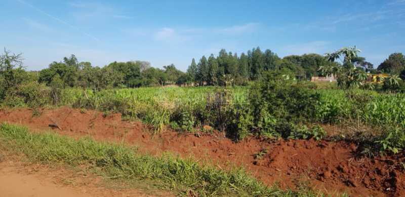 Foto 9 de 9: Terreno em leilão em São Nicolau - RS — LOTE 001-4 Terreno na Rua Salvador Pinheiro Machado, na cidade de São Nicolau/RS
