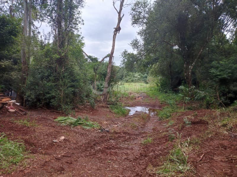 Foto 1 de 6: Area Rural em leilão em Cerro Largo - RS — LOTE 002 A fração de 3.475,61m² na Linha São Jose, Cerro Largo