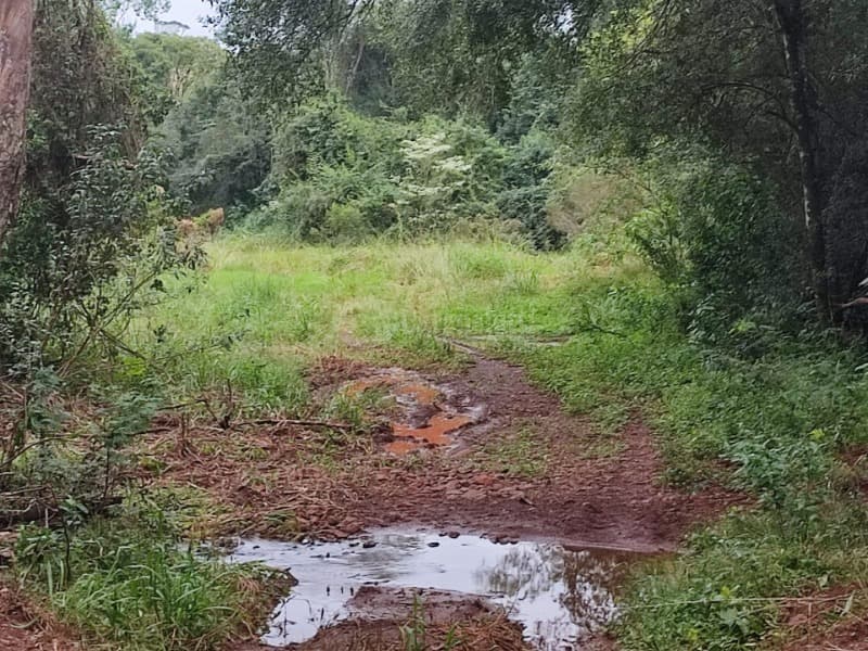 Foto 2 de 6: Area Rural em leilão em Cerro Largo - RS — LOTE 002 A fração de 3.475,61m² na Linha São Jose, Cerro Largo