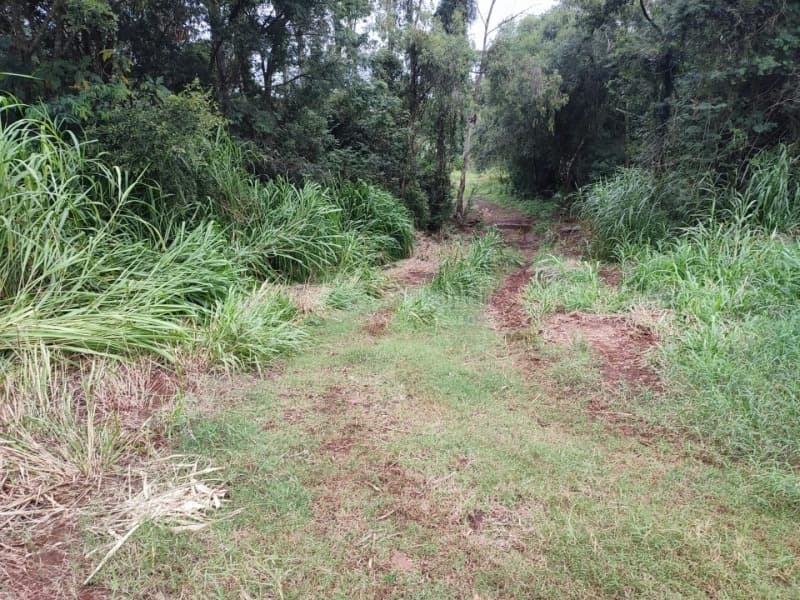Foto 4 de 6: Area Rural em leilão em Cerro Largo - RS — LOTE 002 A fração de 3.475,61m² na Linha São Jose, Cerro Largo