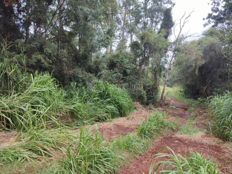 Foto 5 de 6: Area Rural em leilão em Cerro Largo - RS — LOTE 002 A fração de 3.475,61m² na Linha São Jose, Cerro Largo