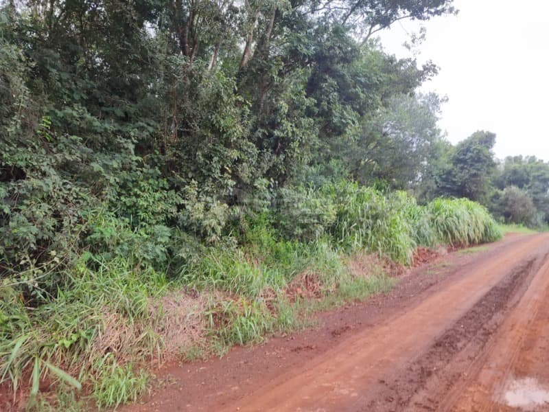 Foto 6 de 6: Area Rural em leilão em Cerro Largo - RS — LOTE 002 A fração de 3.475,61m² na Linha São Jose, Cerro Largo