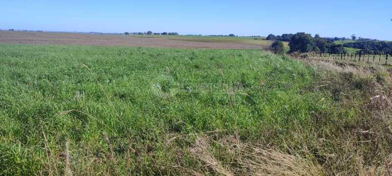 Foto 2 de 11: Imóvel em leilão em Santo Ângelo - RS — LOTE 004 4,10 hectares em Comandaí, Santo Ângelo/RS
