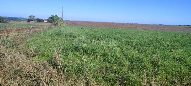 Foto 3 de 11: Imóvel em leilão em Santo Ângelo - RS — LOTE 004 4,10 hectares em Comandaí, Santo Ângelo/RS