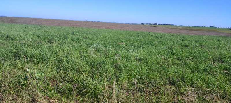 Foto 4 de 11: Imóvel em leilão em Santo Ângelo - RS — LOTE 004 4,10 hectares em Comandaí, Santo Ângelo/RS