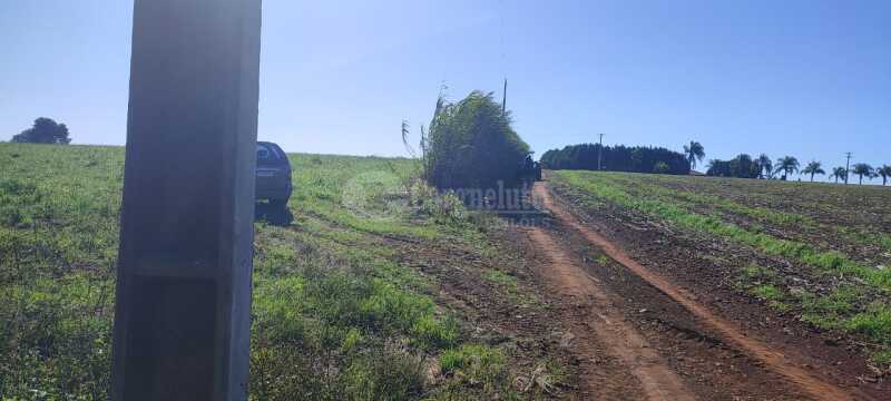 Foto 7 de 11: Imóvel em leilão em Santo Ângelo - RS — LOTE 004 4,10 hectares em Comandaí, Santo Ângelo/RS